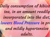 Lower Blood Pressure with Hibiscus