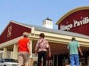 Alabama Supreme Court Embraces Judicial Activism, Betrays Conservatism, Outlaw Electronic Bingo