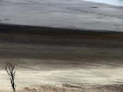 Scientists: Human Activity Exceeding Earth’s Limits