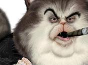 People Give Their Lives Just That Cats Make Killing.