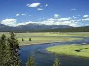 Pipeline Breach Spills into Yellowstone River