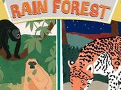 BOOK: NIGHT RAIN FOREST, Written Illustrated Caroline Arnold