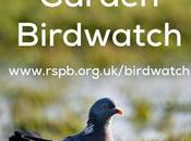 Garden Birdwatch Weekend 24th 25th January, Will Joining
