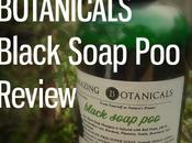 Review Amazing Botanicals Black Soap Shampoo