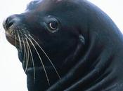 Outdated Attitudes Extinct