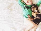 Thinking About Getting Puppy?