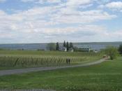 Boston Wine Expo Post: Other Side Finger Lakes Debbie Gioquindo