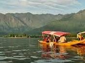 Real Wonders Srinagar