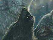 Canada: Takes Action Against Logging Industry; Instead Blames Kills Wolves Summary Makes Money Not.