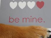 Ways Dogs Make Better Valentines Than People
