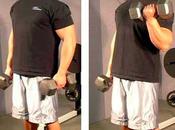 Bicep Workouts