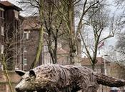 Fierce Beast Hunting