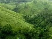 Reach Vagamon