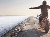 Shark Heritage Metro