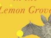 Short Stories Challenge Barn Term Karen Russell from Collection Vampires Lemon Grove