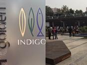 Mumbai's Renowned Indigo Comes Delhi!