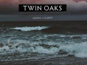 Twin Oaks Conjure Storm with ‘animal’ [stream]