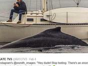Fixated Cell Phone Doesn't Realize Whale Beneath