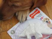 Dinosaur Help Keep Your Dog's Teeth Clean