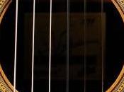 Four Things Look Guitar Company