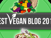 Best Vegan Blogs 2015