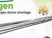 California Company Harvests Organs Aborted Babies Grow Animals Lucrative Organ Transplants