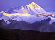 Humans Create Another Pile Shit