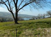 Blagdon Lake