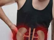 Facts About Kidney Disease