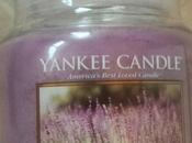 Lavender Yankee Candle