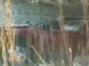 Mysterious Voice Calling Help