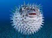 Knowing Temporary Permanent