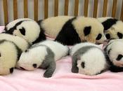 That King Size Changes Everything.