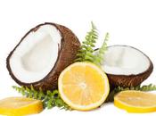 Natural Lemon-Coconut Shampoo