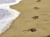 Protect Your Business Reputation Online Lose