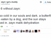 Zayn Malik Leaves Direction: Twitter Reacts