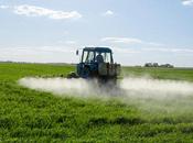 Monsanto Demands World Health Organization Retract Report That Says Roundup Linked Cancer EcoWatch