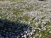 Thanking Kindly Your Birthday Good Wishes