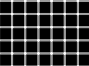 Optical Illusions ............ Painted Fingernails Identical Images