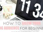Grow Your Blog Audience Beginners