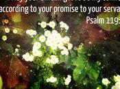 Word Week Psalm 119:76