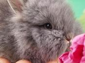 Photos: Check These Real Life Easter Bunnies