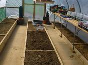 Polytunnel Progress