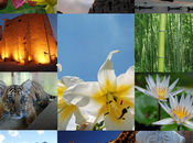 Media Sale Catalog 70,000+ Images from Countries