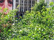 Friday Fotos: Chicago's Millennium Park