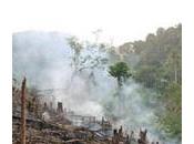 IUCN Human Development Biodiversity Conservation Hand Hand, Study Finds