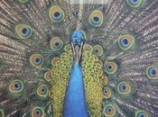 REWIND: Bluetones 'Cut Some Rug'