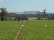 Walk Around Lacock