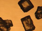 Throwback Sugar-free Thursday