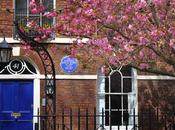 Springtime Pink Blue